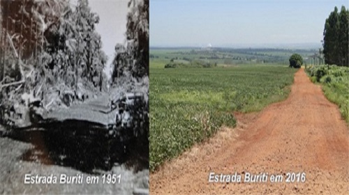 5 Estrada Buriti Em 1951 (Kimura) E Estr. Buriti Em 2016 (do Autor)